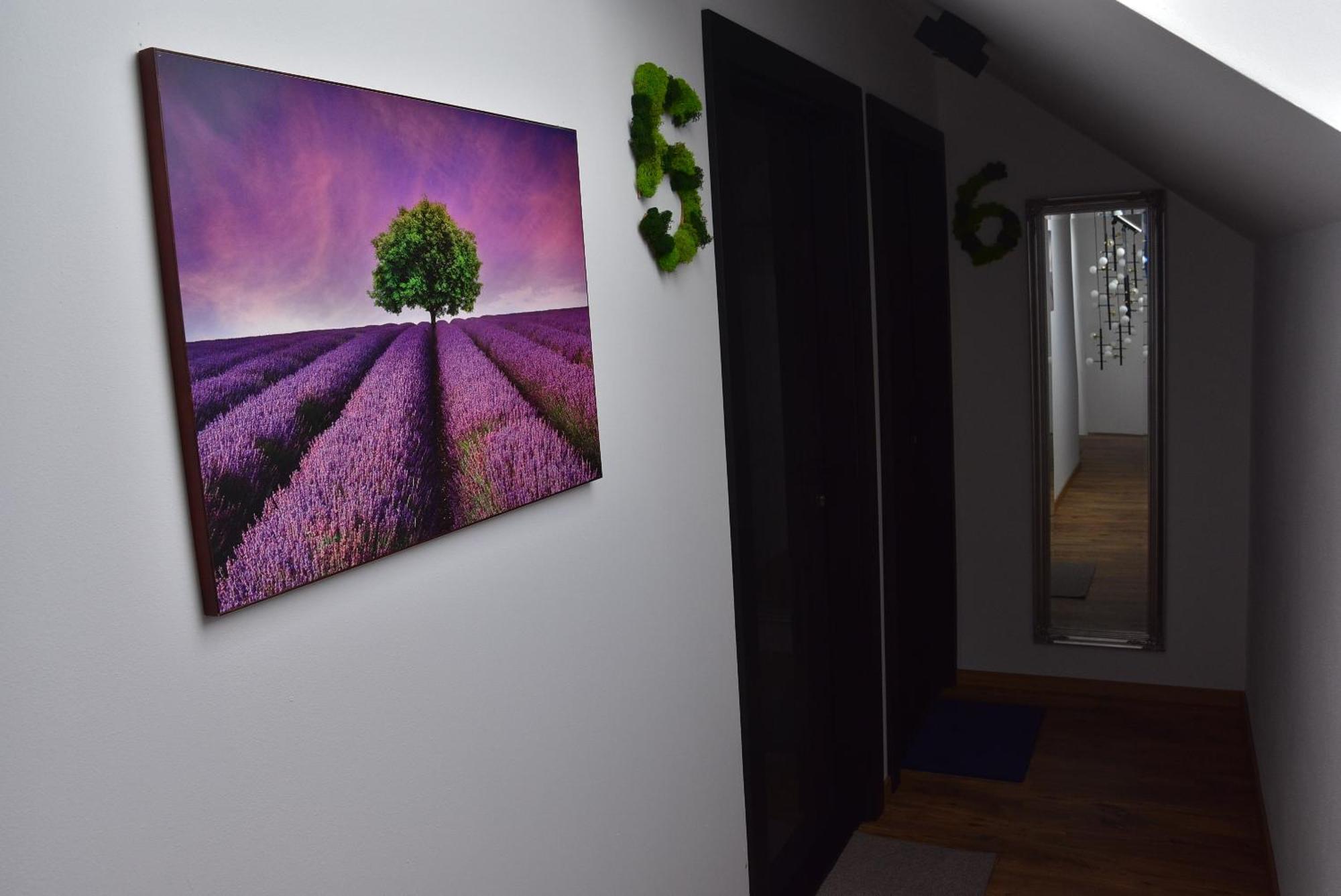 Apartmany Zakovce & Spa 韦尔卡鲁穆尼卡 外观 照片
